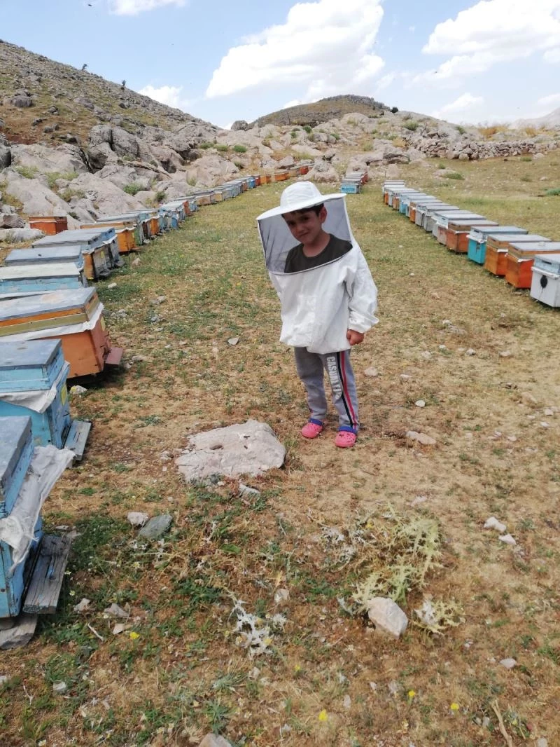 Beş yaşındaki arıcının şaşırtan cesareti görenleri hayran bıraktı
