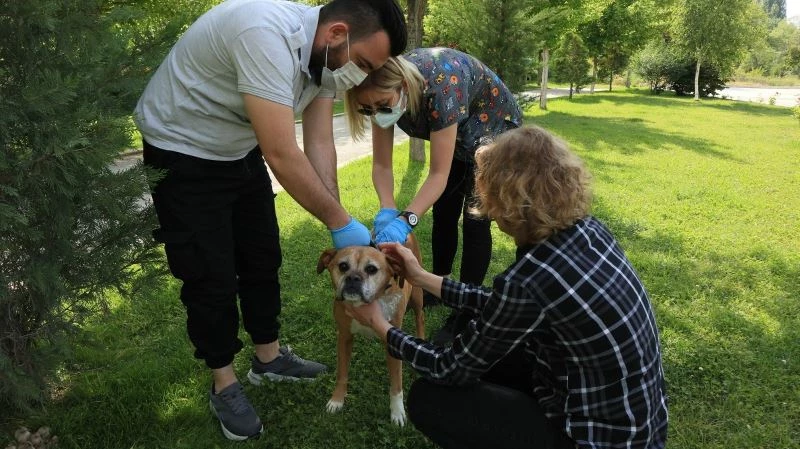 Odunpazarı Belediyesi hayvanseverlerle iş birliğini sürdürüyor
