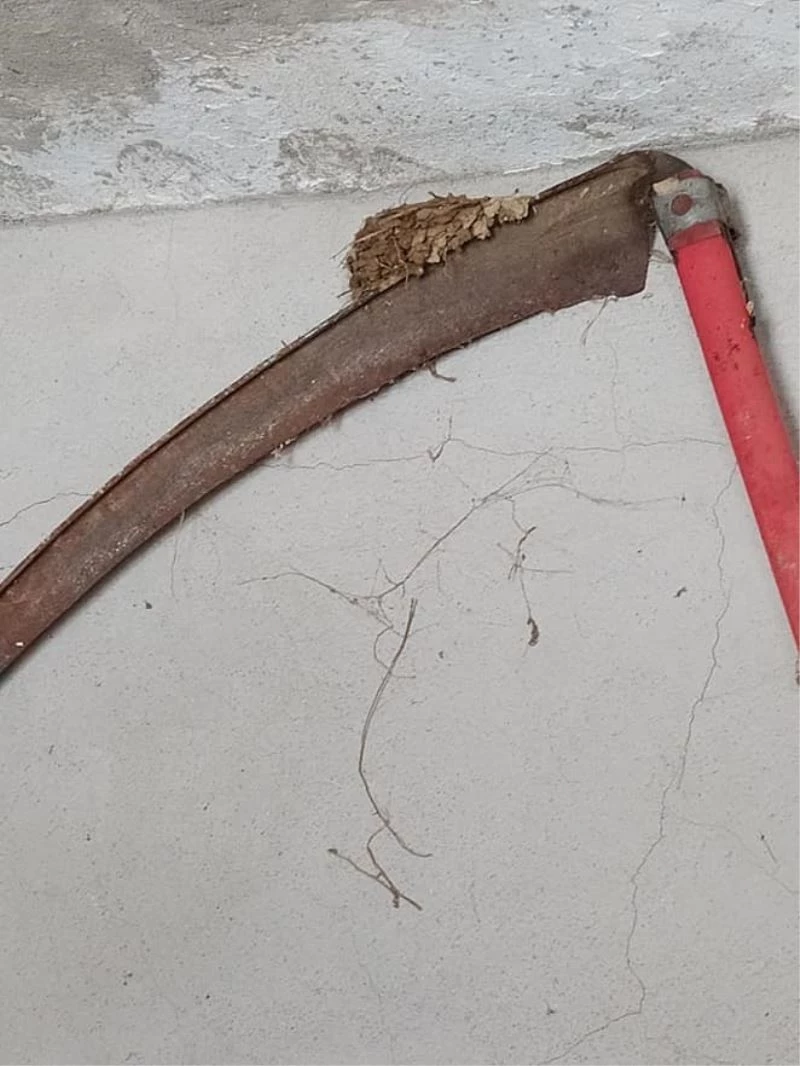 Kırlangıç tırpana yuva yaptı
