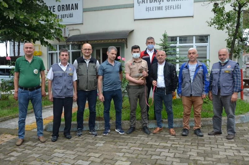 Evcil maymuna şefkat eli
