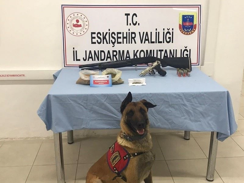 Tetik ve Alfa’dan uyuşturucu kaçmıyor
