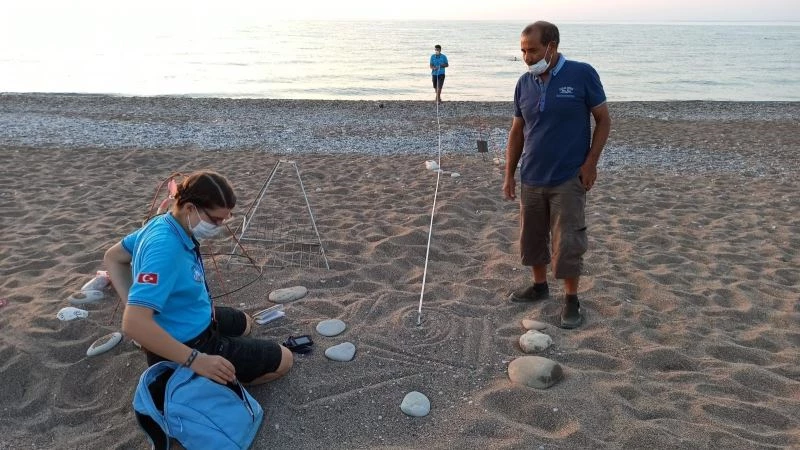 Antalya’da 2020 yılında 4 bin 853 yuvadan 204 bin 591 yavru caretta denizle buluşturuldu
