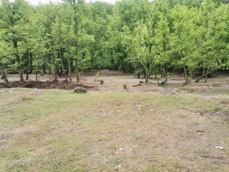 Elele verip, pırıl pırıl yaptılar
