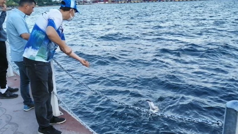 Balık tutmak için attığı oltasına takılanı görünce şaşırdı
