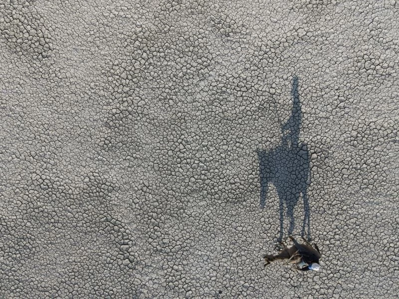 Akgöl’ü kurudu, kuşlar gölü terk etti
