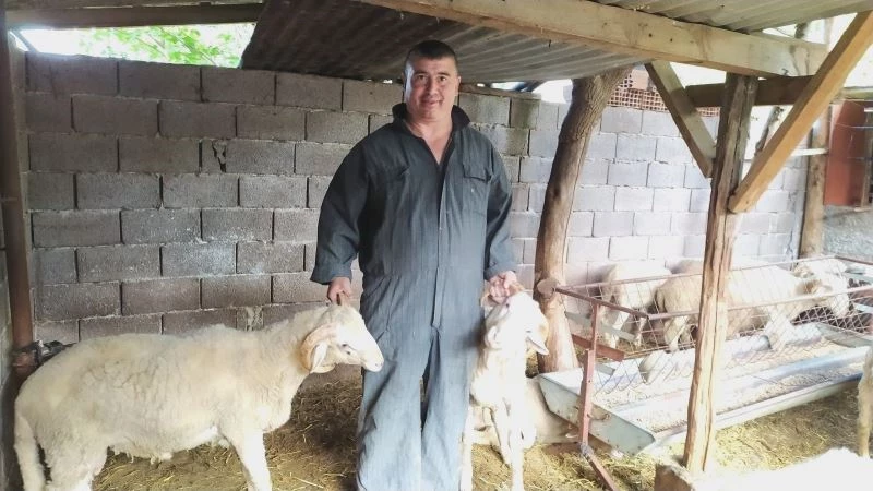 (ÖZEL) Kütahyalı besici hayvan yemini kendisi üretiyor
