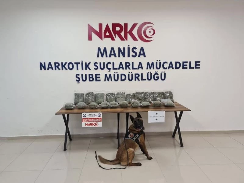 Otobüsün bagajında 10 kilodan fazla bonzai ele geçirildi
