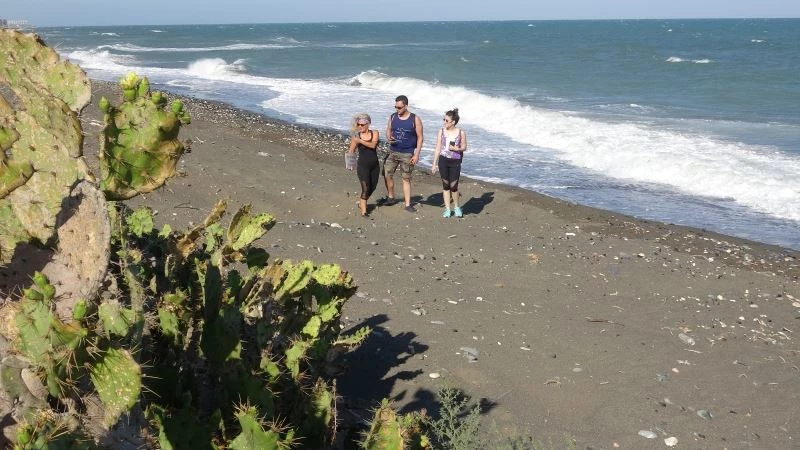 Koruma Altına alınan Alata Sahili’nde deniz kaplumbağaları güvende
