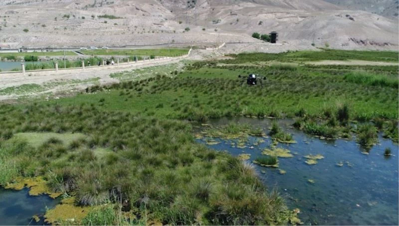 Erzincan’da sulak alanlar havadan ilaçlandı
