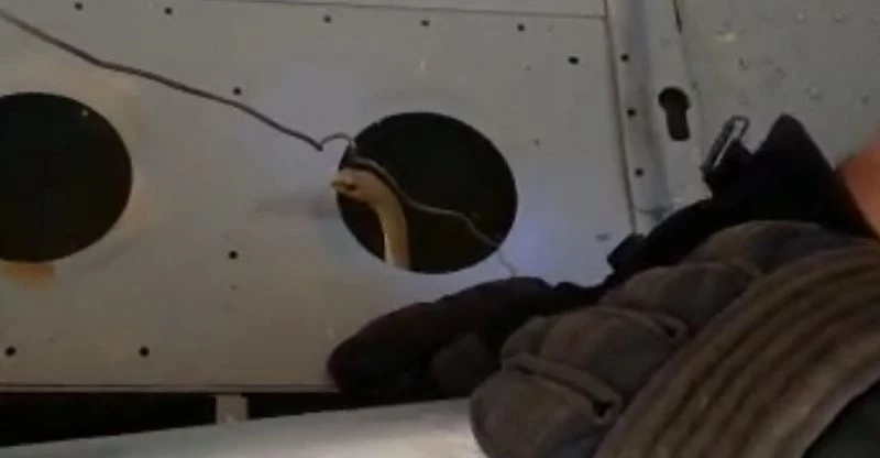 Yangın söndürme helikopterine giren yılanı itfaiye çıkarttı
