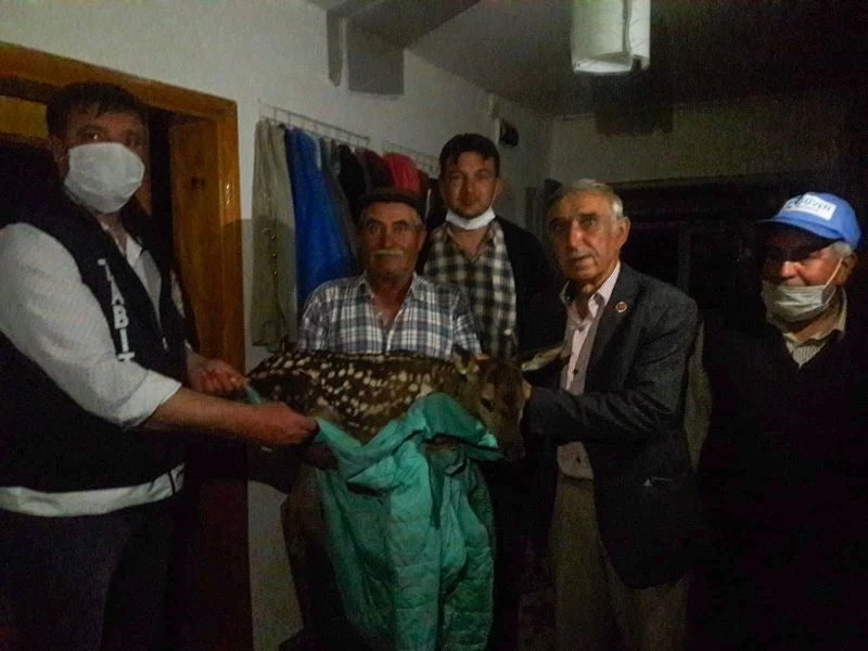 Yaralı ala geyik yavrusuna köylü sahip çıktı

