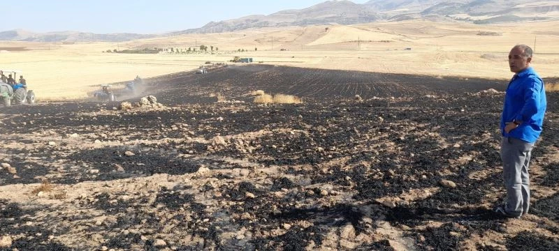 Kurtalan’da 50 dönümlük buğday ekili tarla kül oldu
