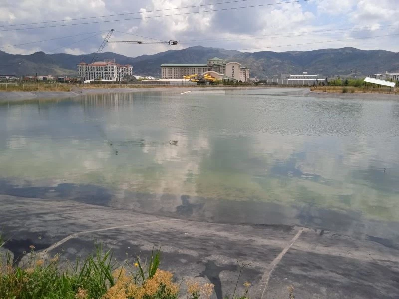 4 küçük çocuğun gezisi faciayla bitiyordu
