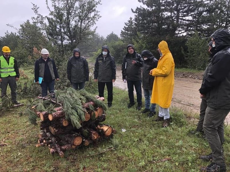 Orman muhafaza memurlarına zararlılarla mücadele eğitimi
