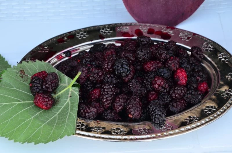 Şifa kaynağı Horum dutu pekmezi gramla satılıyor
