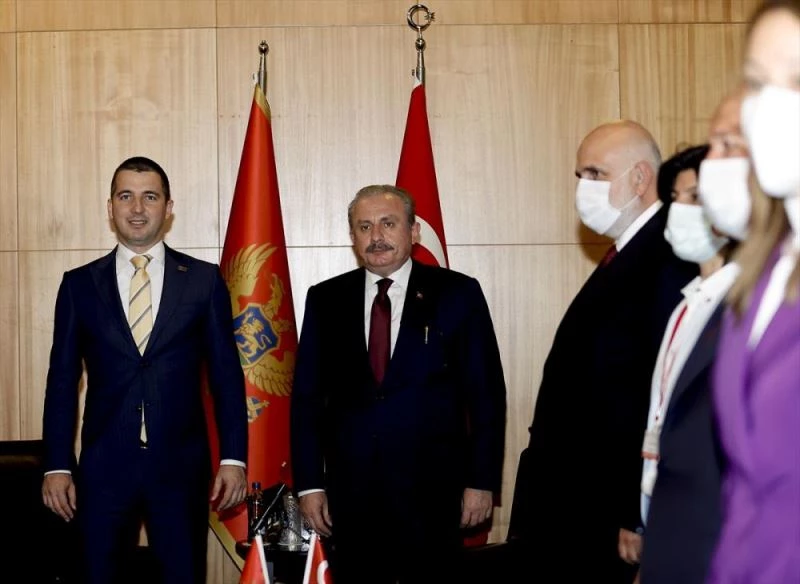 GDAÜ PA 8. Genel Kurul Toplantısında ülkeler arasında iş birliği vurgulandı