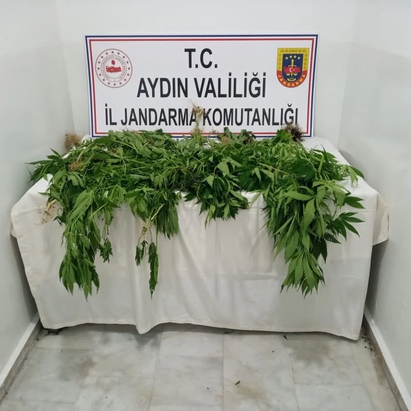 1 haftada 222 gram uyuşturucu ele geçirildi
