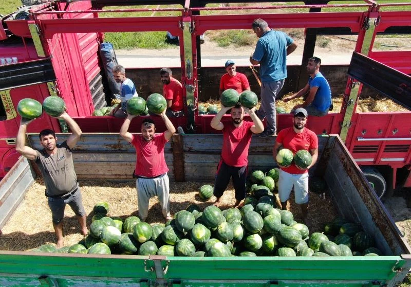 Günde 200 ton karpuz yüklüyorlar
