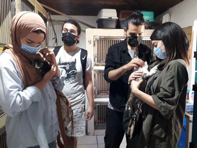 Hayvan bakımevindeki kedi ve köpekleri besleyip günlük bakımlarını yaptılar
