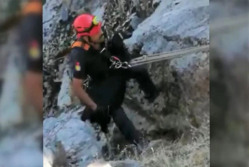 Kayalıklarda mahsur kalan oğlak kurtarıldı

