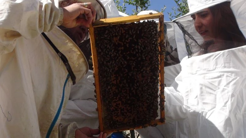 Kadın girişimcilerle arıcılık gelişiyor
