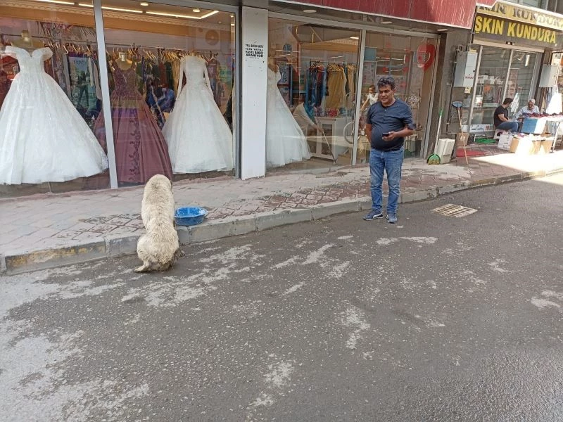 Iğdırlı vatandaştan örnek davranış
