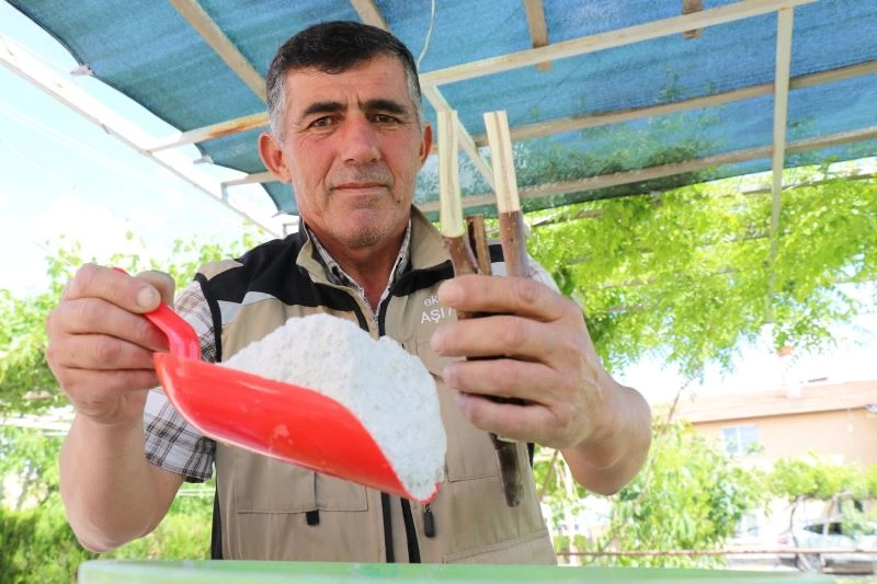 Maden tozuyla ağaç aşılamasından yüzde yüz verim aldı
