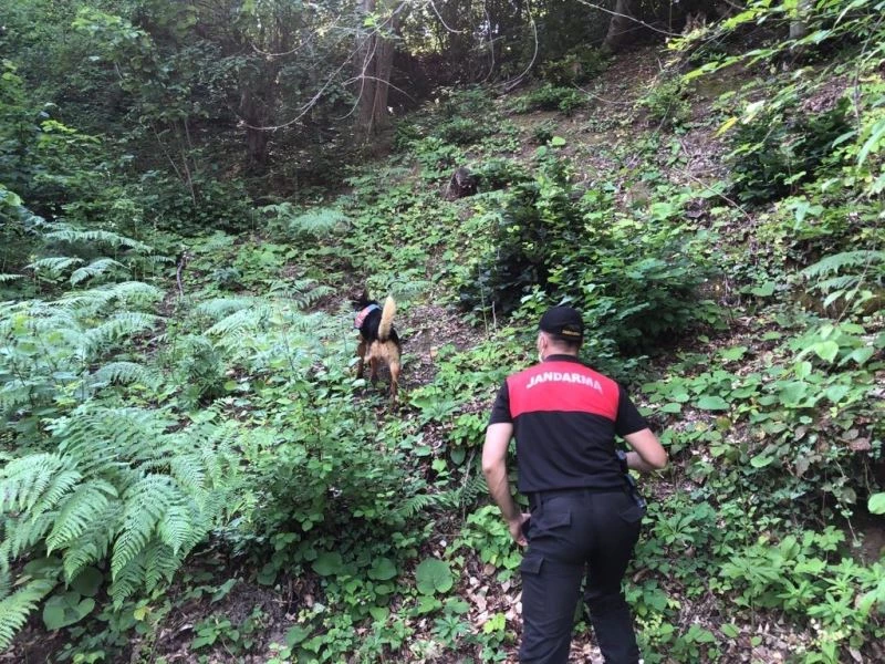 Günlerdir haber alınamayan yaşlı adam, kadavra köpeği ile aranıyor
