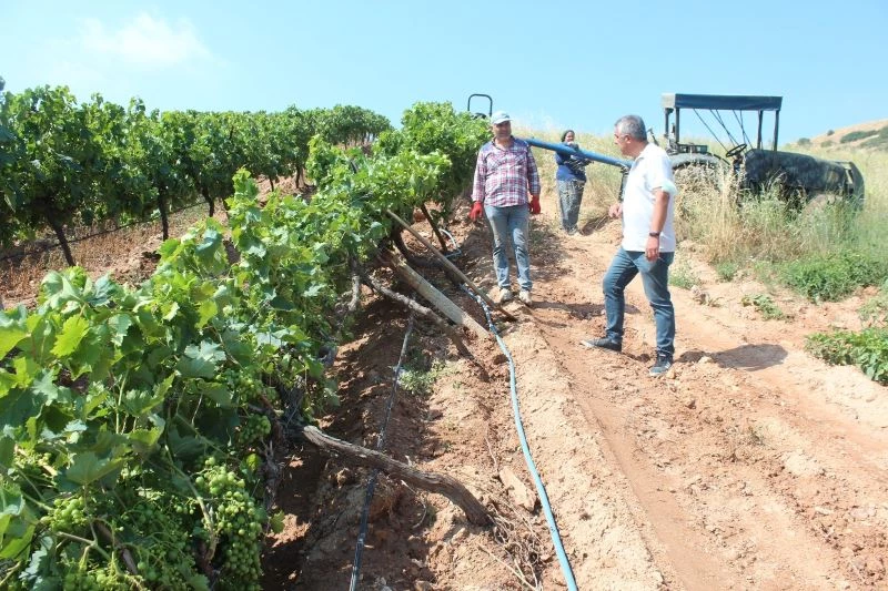 Alaşehir’de fırtınada zarar gören bağlarda hasar tespit çalışmaları başladı
