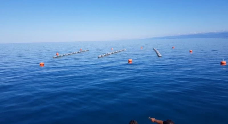 ’Midye ve İstiridye Araştırma Tesisi’ kuruldu
