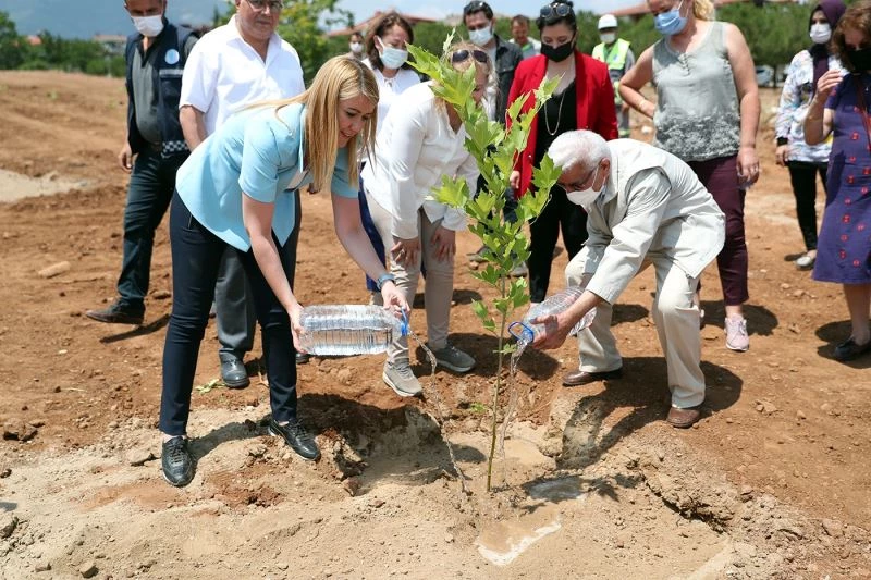Köy Enstitülerinin mimarı İsmail Hakkı Tonguç anısına hatıra ormanı oluşturuldu
