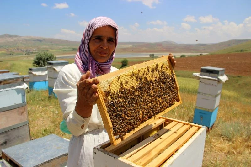 Kuraklık arıcıları endişelendiriyor
