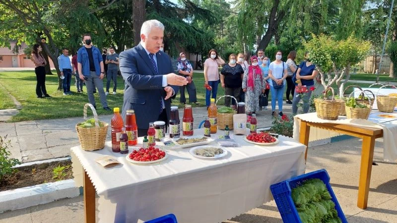 Tekirdağ’da coğrafi tescilli Yapıncak Yaprağı için hasat şenliği
