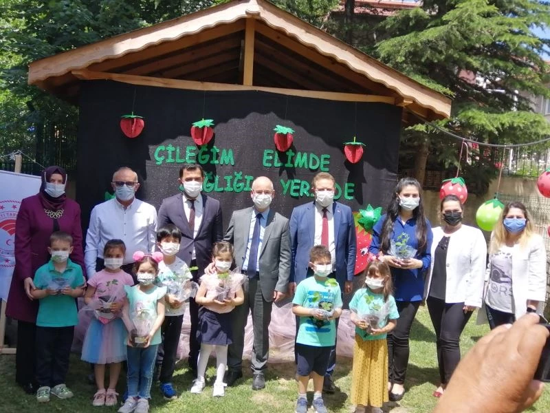 950 minik öğrenciye saksıda çilek fidesi dağıtıldı
