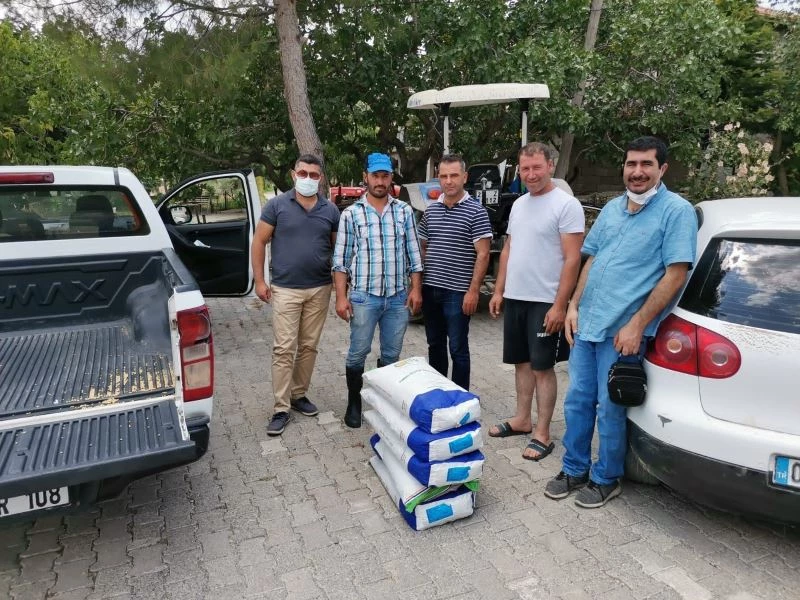 Gölbaşı’nda silajlık soya tohumu dağıtıldı
