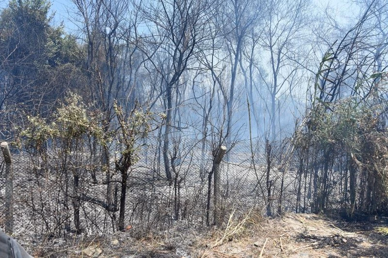 Dalaman’da cezaevi çevresi ve TİGEM arazilerinde yangın (2)
