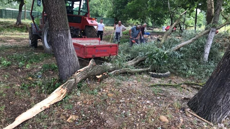 Fırtına ağaçları devirdi, enerji nakil hatları kopunca yangın çıktı
