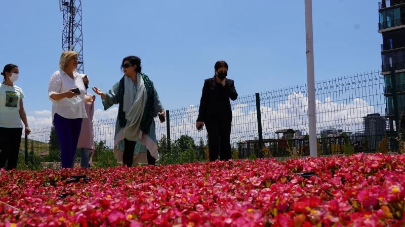 Keçiören’deki akıllı serada sebzeler ve çiçekler aynı anda üretiliyor
