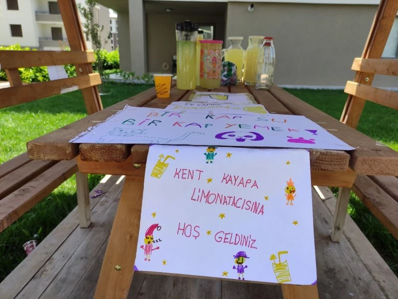 Bu çocuklar bir harika...Sokak hayvanları için limonata yapıp satıyorlar
