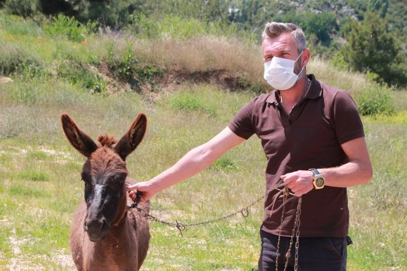  Tedavisi tamamlanan ’Kadife’ yeni sahibini bekliyor
