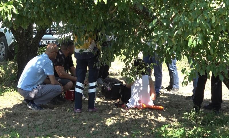 Bursa’da armut bahçesine mecburi iniş yapan uçakta motor arızası yaşanmış: 2 yaralı
