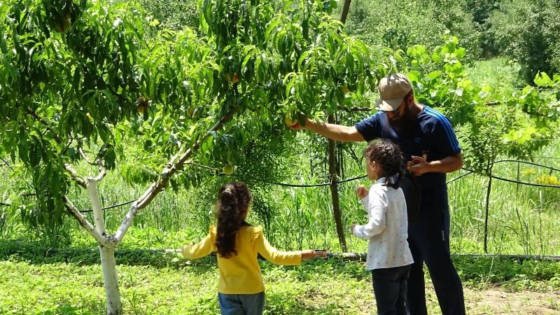 (Özel) Turistler bu bahçeyi çok seviyor
