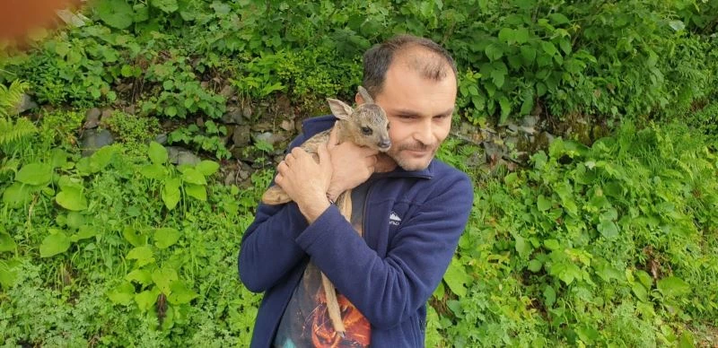 Minik yavruyu köpeklerin elinden kurtardı
