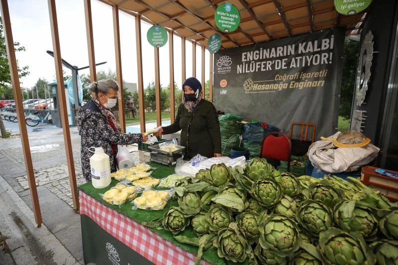 Hasanağa enginarına ulaşmak artık çok kolay
