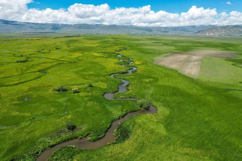 Ardahan ovasında akan derelerin oluşturduğu menderesler görsel şölen sunuyor
