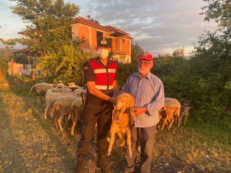 Hayvan hırsızları jandarma dronundan kaçamadı
