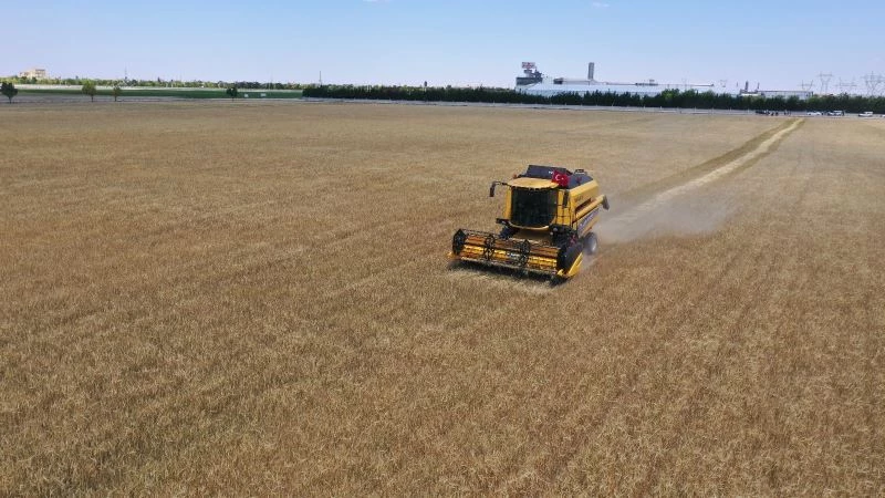 Konya’da atıl araziler ekilip hasadı yapıldı, geliri vatandaşa aktarılacak
