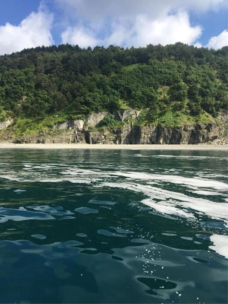 Zonguldak Valiliğinden denizde oluşan kirlilik ile ilgili açıklama
