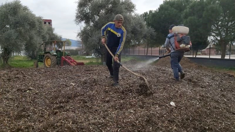 Herkes çöp diye yakıyordu, çok değerli bir gübre olduğu ortaya çıktı
