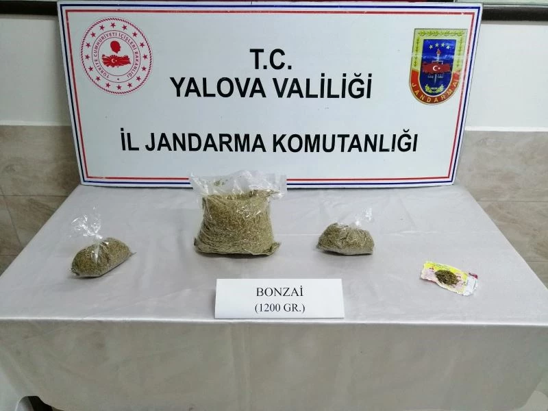Otobüsle uyuşturucu nakline jandarma engeli
